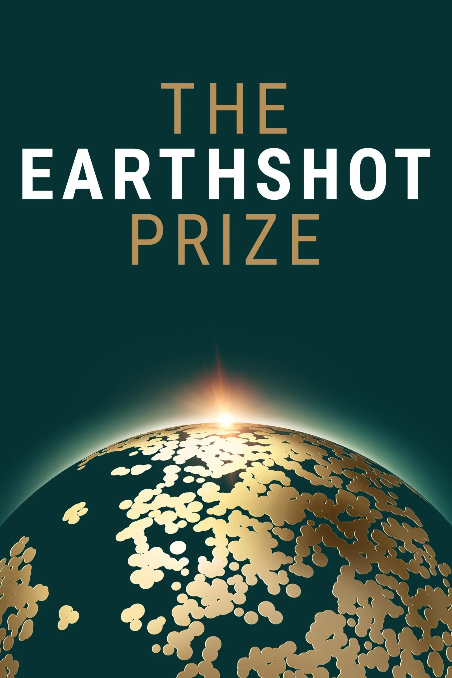 The earthshot prize