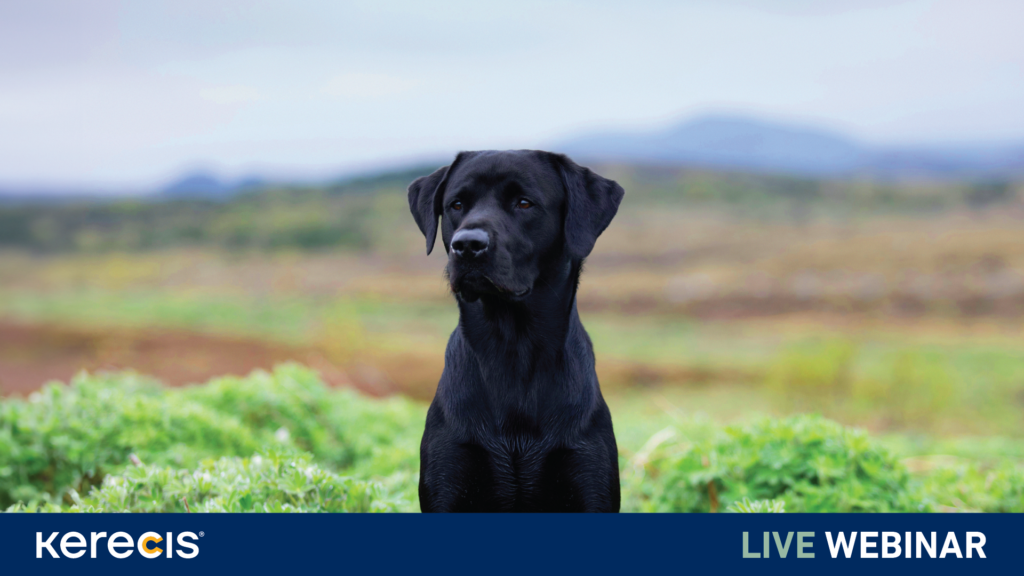 VET Webinar