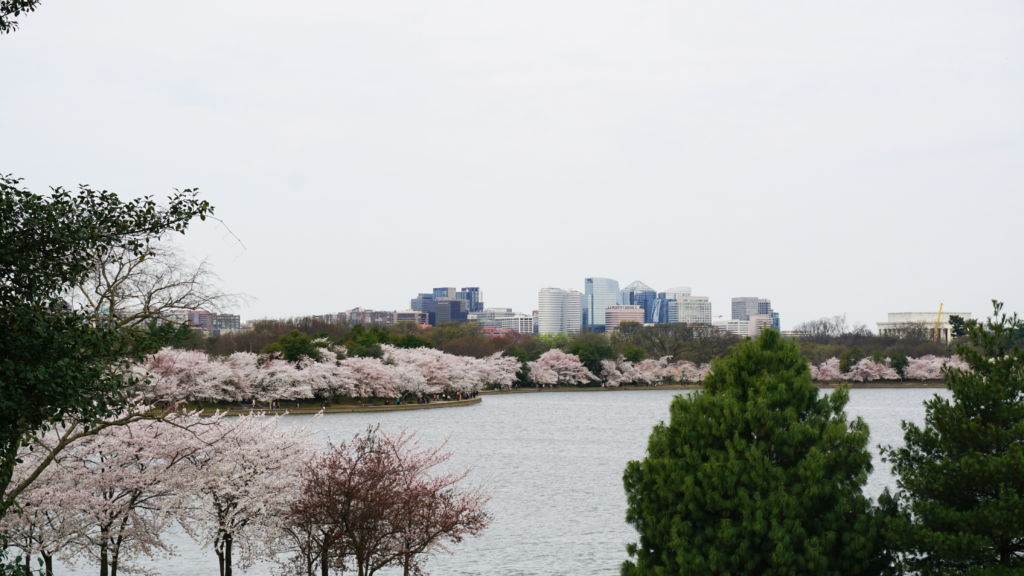 Arlington