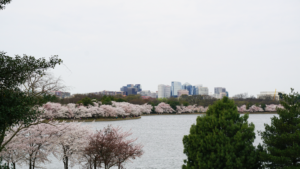Arlington