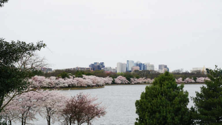 Arlington
