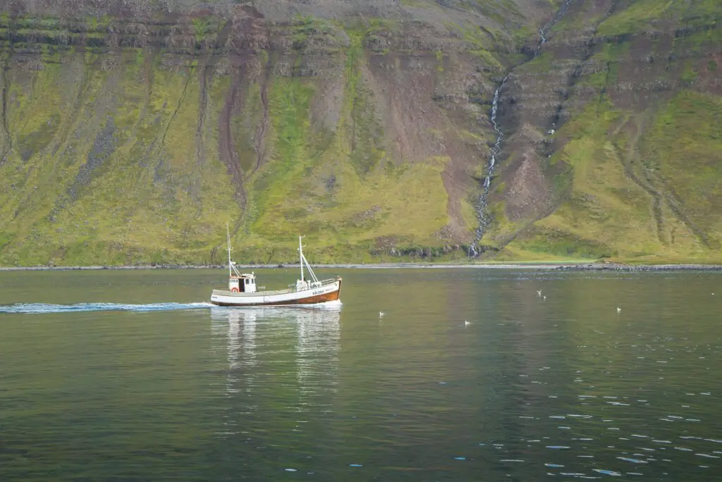 boat