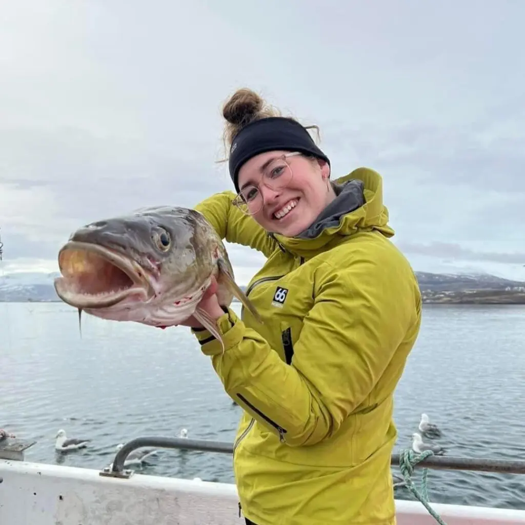 Cod fish
