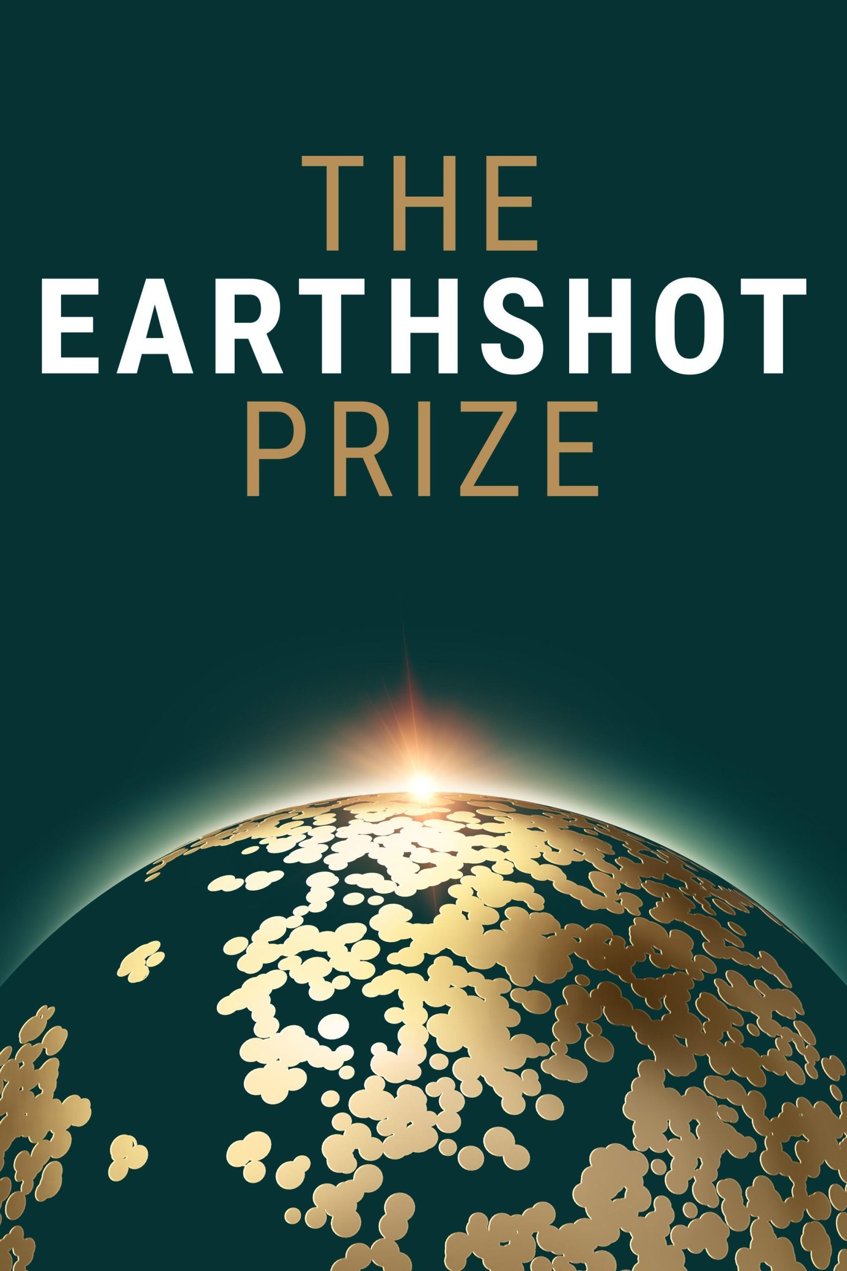 The earthshot prize