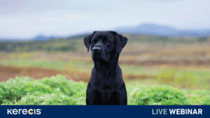 VET Webinar